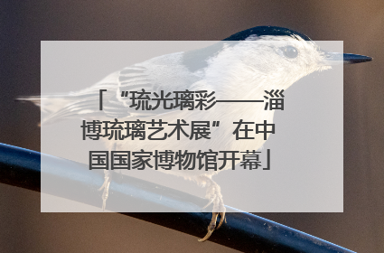 “琉光璃彩——淄博琉璃艺术展”在中国国家博物馆开幕